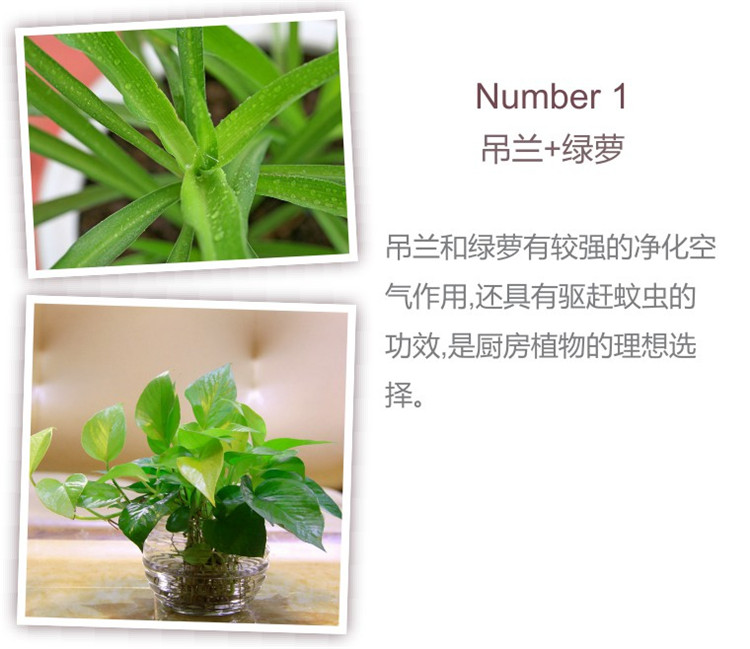 澳華裝飾